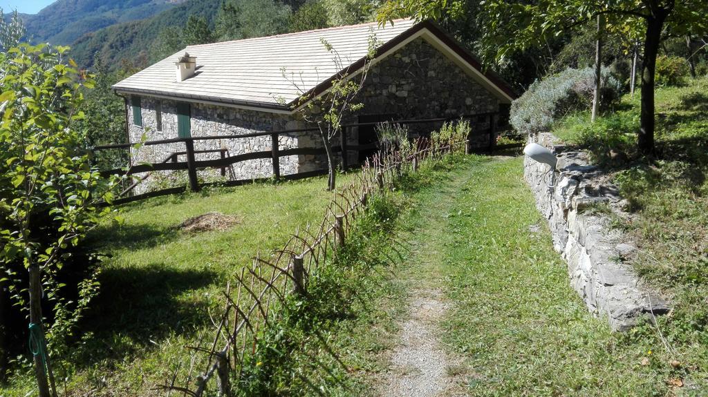 Agriturismo Il Mulino Stibiveri Exterior foto